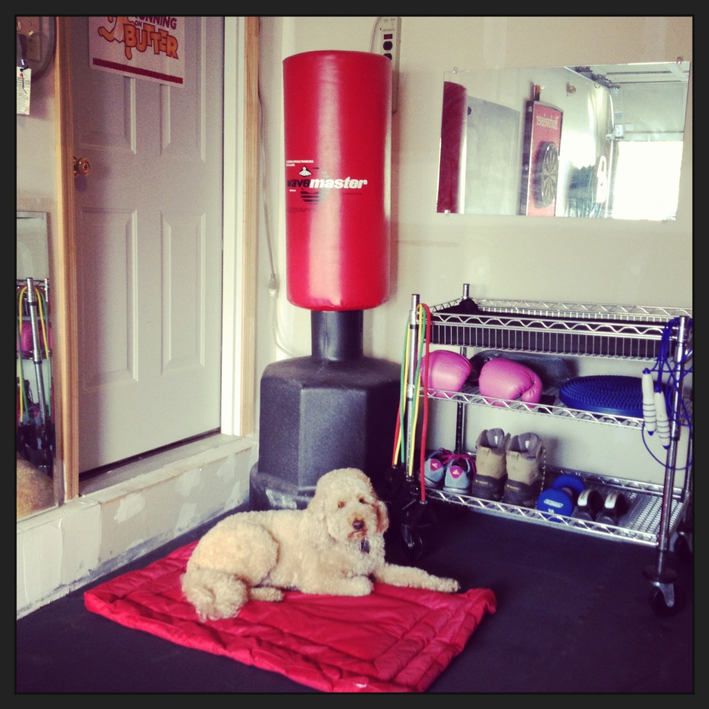 garage exercise space with a furry personal trainer imposter