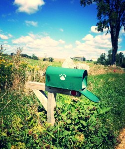 my kind of mailbox