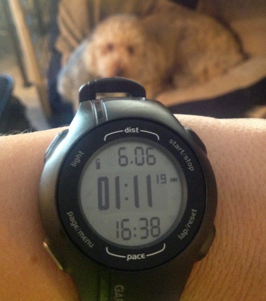 watch photo with a doodle photobomb