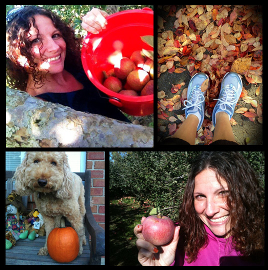 autumn-collage