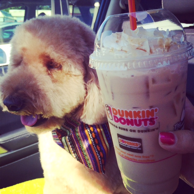 Duncan and Dunkin