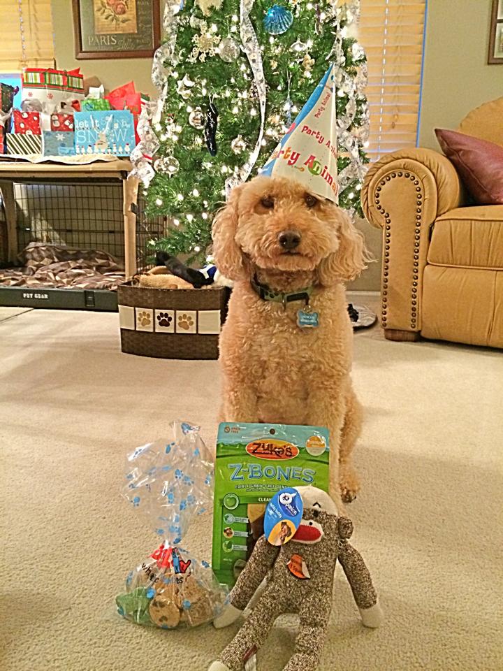labradoodle gifts