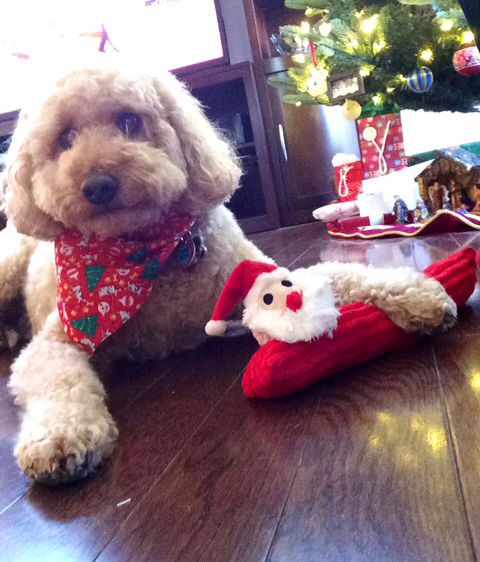 Duncan and his new santa toy
