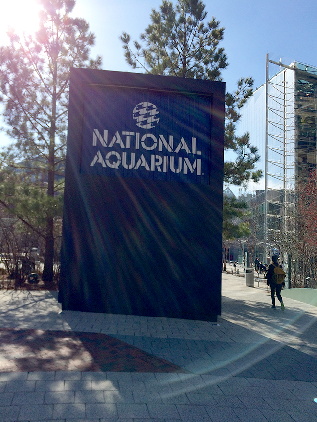 aquarium-sign