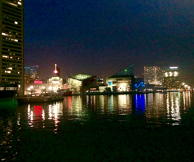 The harbor at night