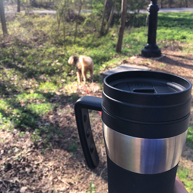 can't get any more peaceful. Dog, nature walk and coffee!