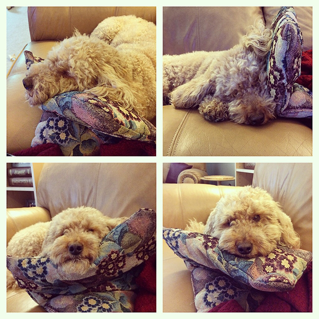 This pillow isn't fluffy enough. 
