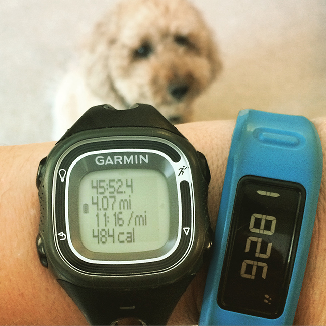 it wouldn't be a Garmin shot without a doodle bomb 