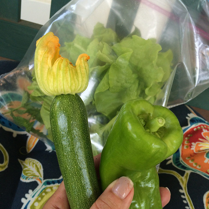 Zucchini and pepper