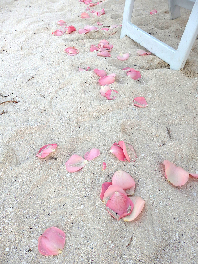 I kinda dig the rose petals on the sand. 