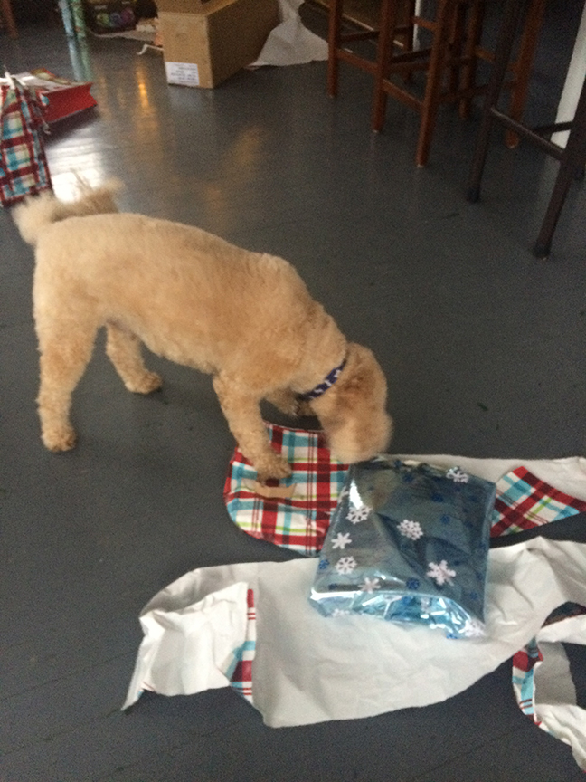 Duncan opening his gift