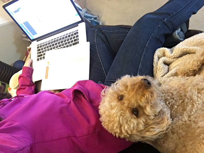 working from home looks like this