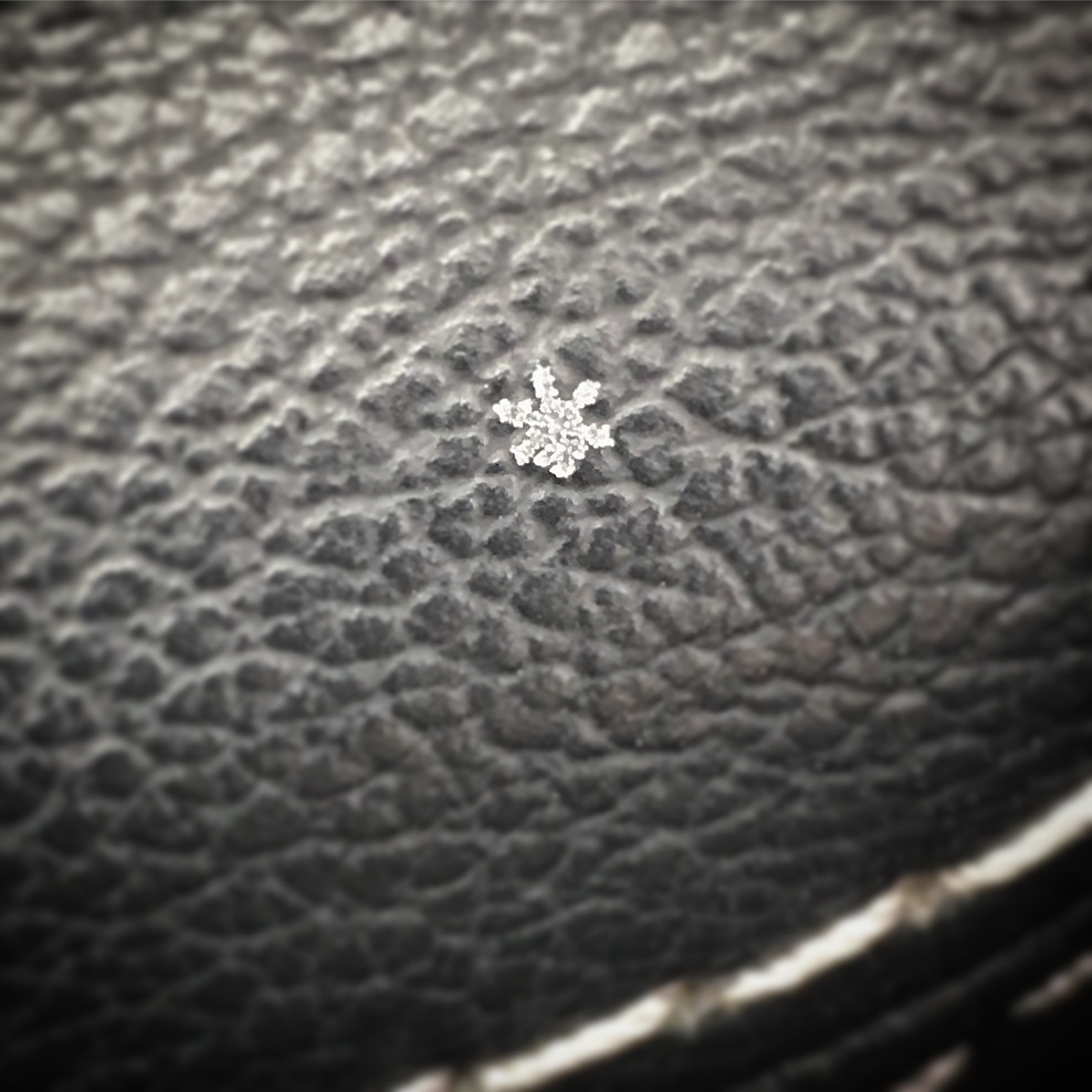 one solitary snowflake that landed in my car