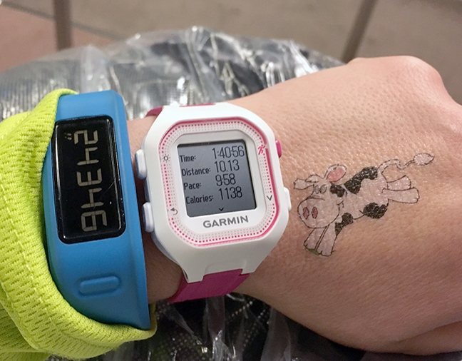 Garmin stats and a Cabot Cheese Cow temporary tattoo
