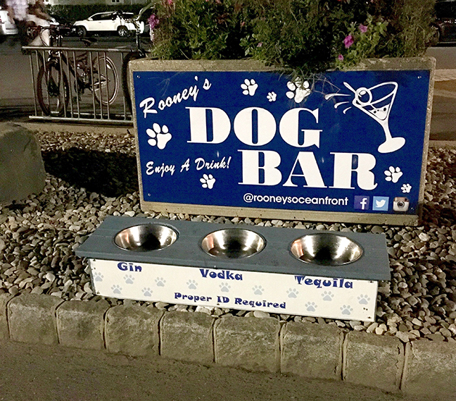 I love this! One of the restaurants along the promenade has a "dog bar". Tee hee!