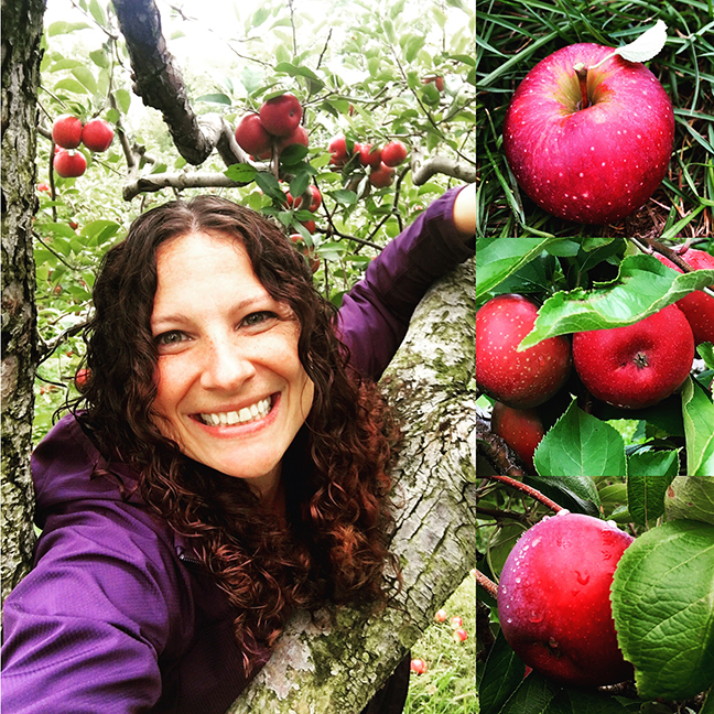 An apple picking day isn't complete without climbing into the tree for a selfie