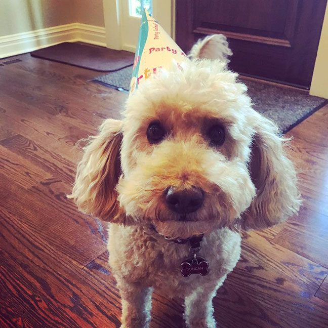 I force him to wear his party hat for 30 seconds every year