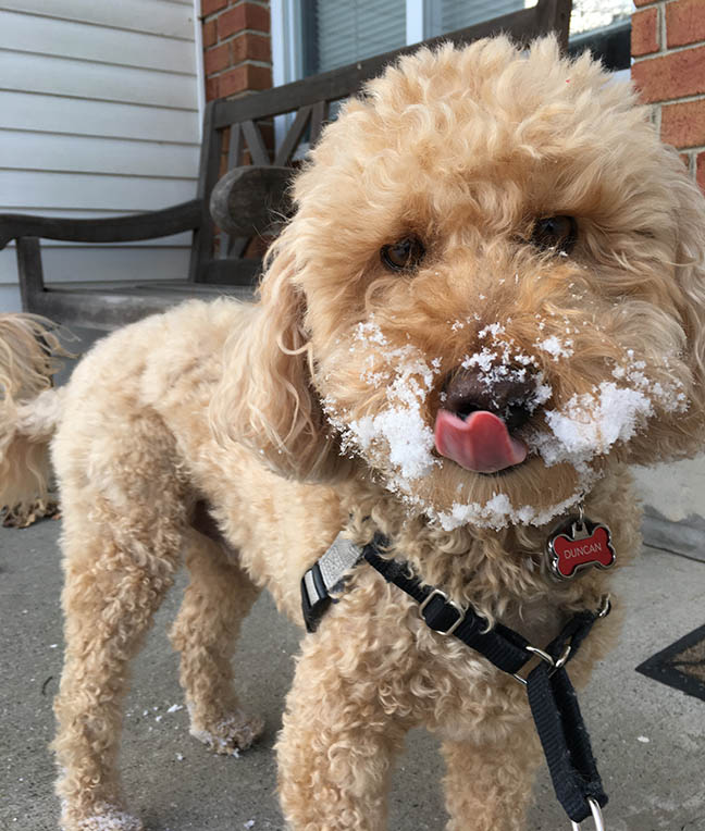 mmmm....snowsicles are yummy