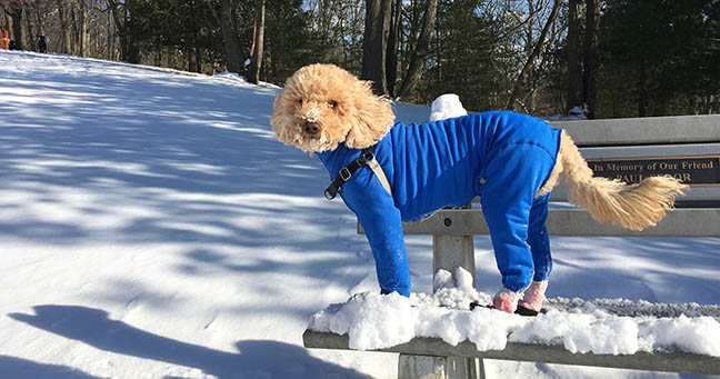 Does this snowsuit make my butt look big?