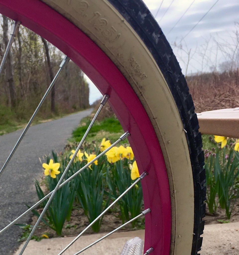 bike-daffodils