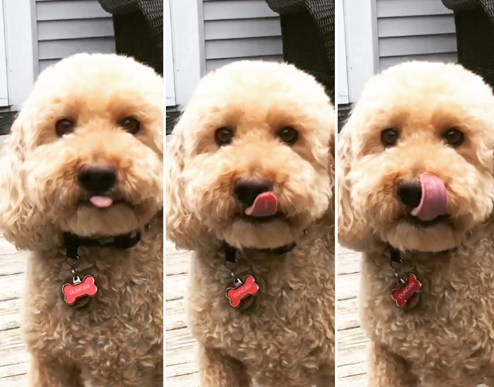 the progression of Tongue Out Tuesday