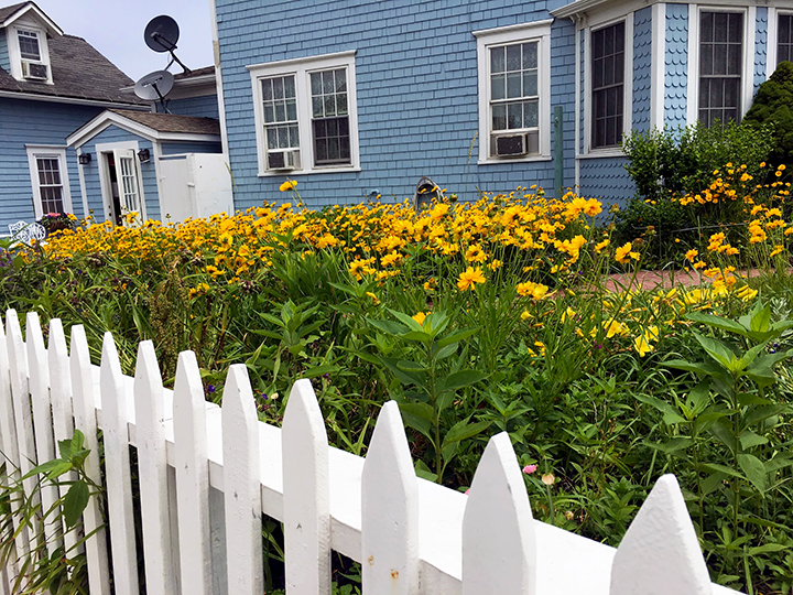 adorable houses with flowers and picket fences