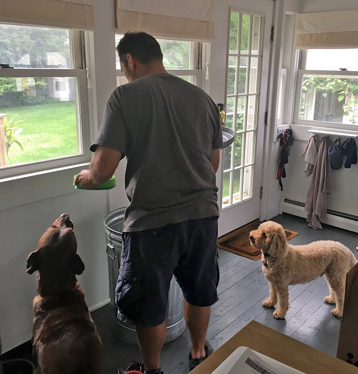 No better time of day than mealtime—for the dogs too! ;)