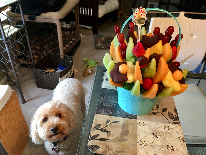 Edible Arrangement with a side of cute dog