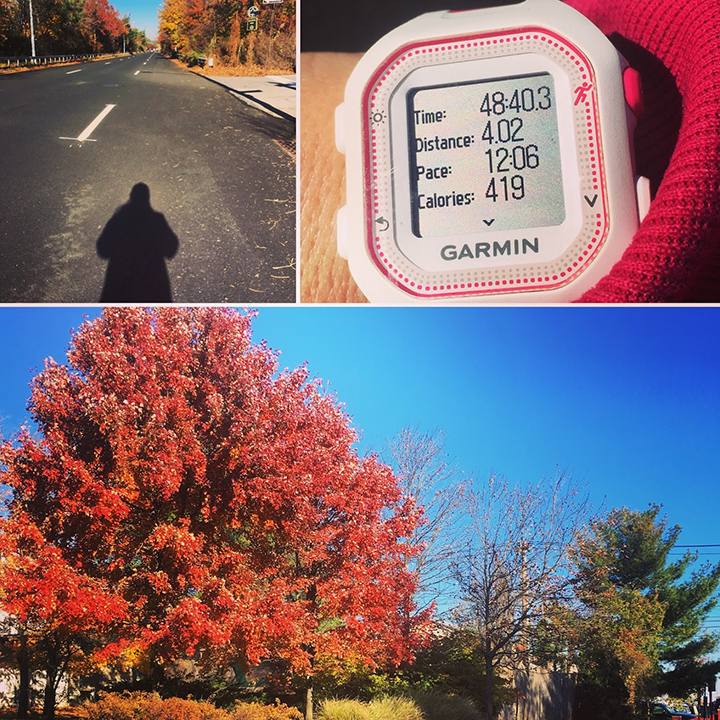 A beautiful Fall day  run
