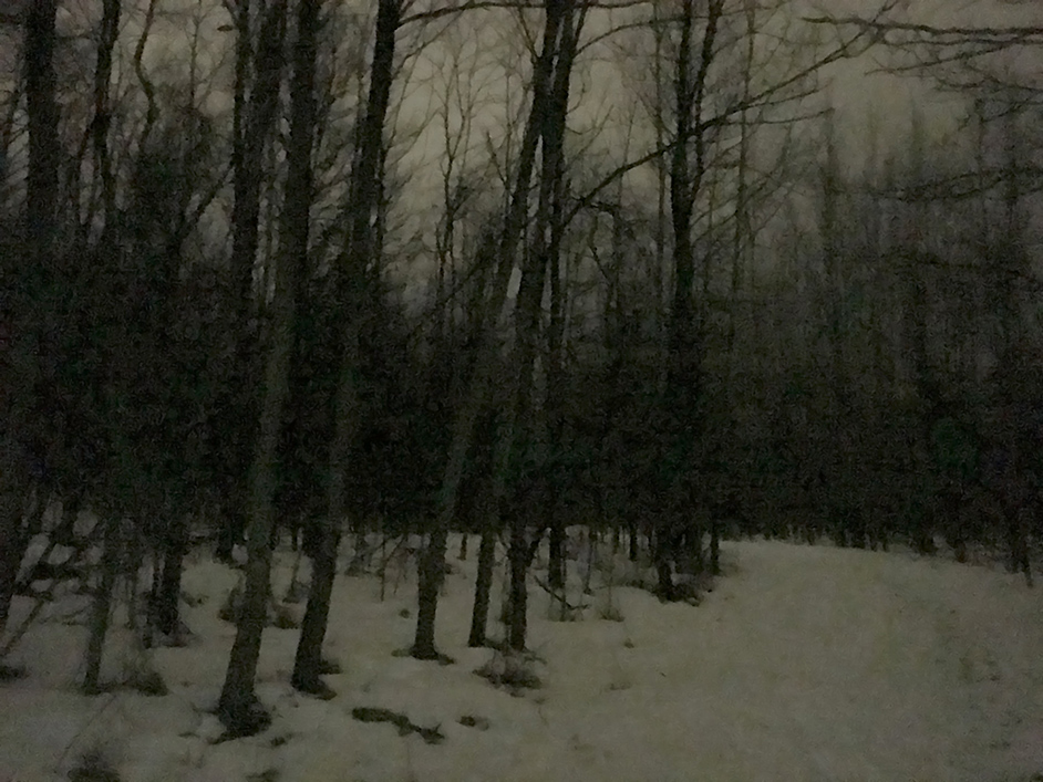 It was 7:30 pm but the snow allowed us to see well even without our headlamps